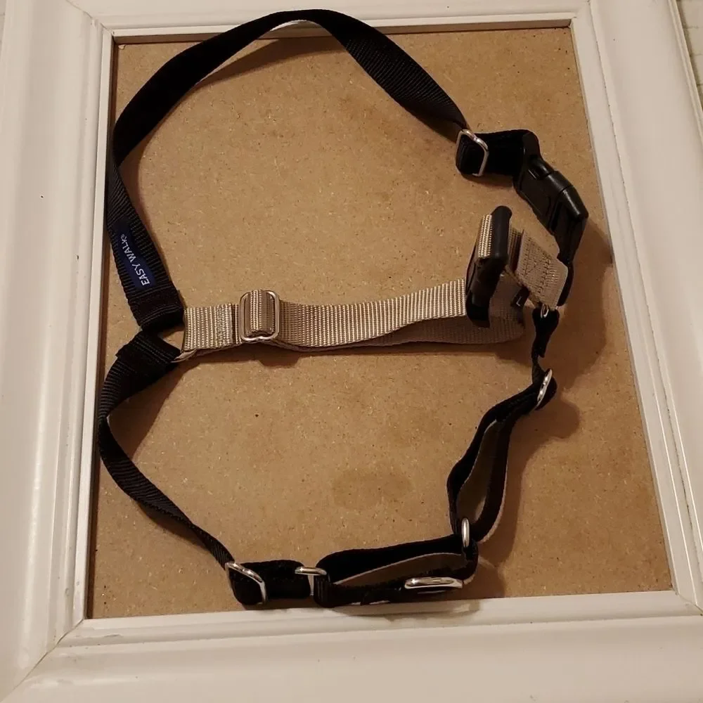 Easy Walk No-Pull Dog Harness & Retractable Lead Set - Large